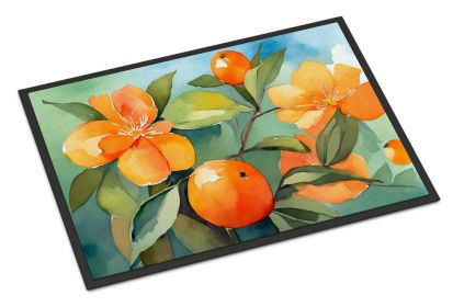 NEW Florida Orange Blossom in Watercolor Doormat Front Door Mat Indoor Outdoor Rugs for Entryway, Non Slip Washable Low Pile, 18H X 27W